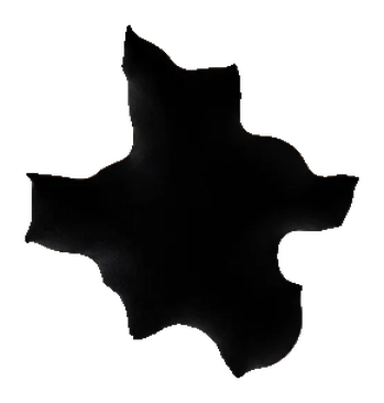 Blindspot Protocol